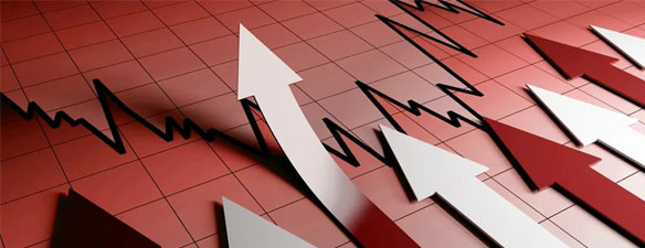 出击全球动力、储能市场，瑞浦兰钧电池业绩亮眼