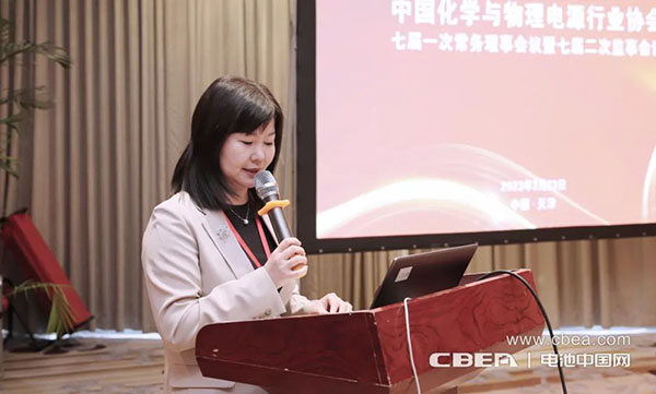 开局之年开新篇!电源行业协会七届一次常务理事会议在天津召开 开局之年开新篇!电源行业协会七届一次常务理事会议在天津召开