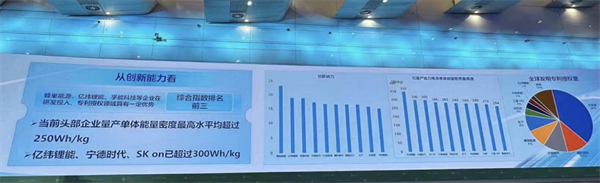 工信部发布2023动力电池产业发展指数 蜂巢能源创新能力排名第一 工信部发布2023动力电池产业发展指数 蜂巢能源创新能力排名第一