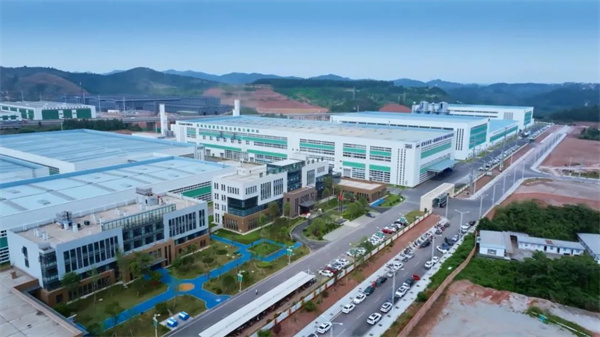 磷酸铁锂龙头今年动作频频，加速行业升级