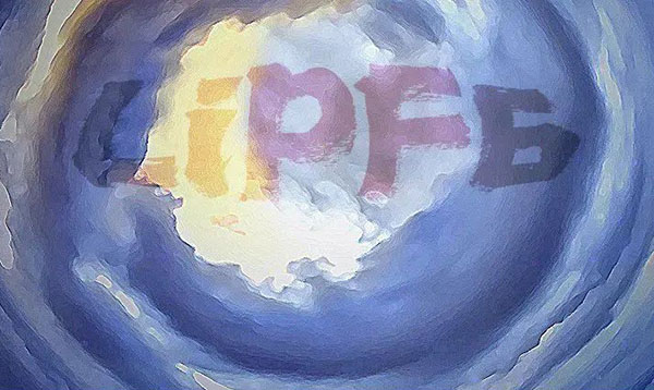 六氟磷酸锂“停产挺价”？