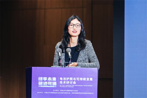 标准与国际接轨!电池护照与可持续发展技术研讨会在重庆召开 标准与国际接轨!电池护照与可持续发展技术研讨会在重庆召开