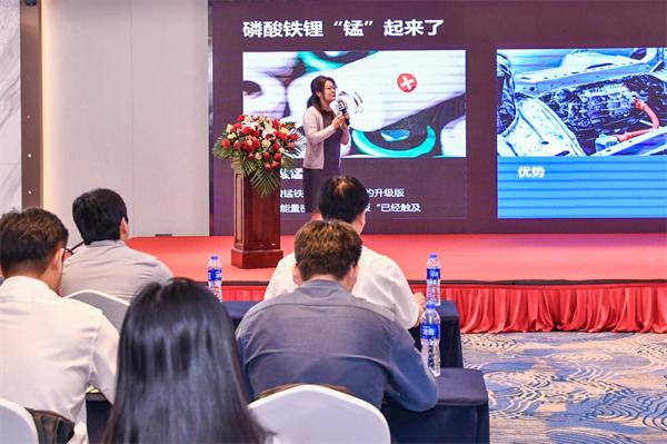 【龙蟠科技】锰锂1号:高循环/长续航 重塑动力电池格局 【龙蟠科技】锰锂1号:高循环/长续航 重塑动力电池格局
