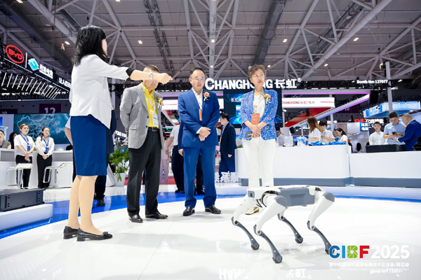 图为电源行业协会领导和协会理事会部分成员代表参观CIBF2025