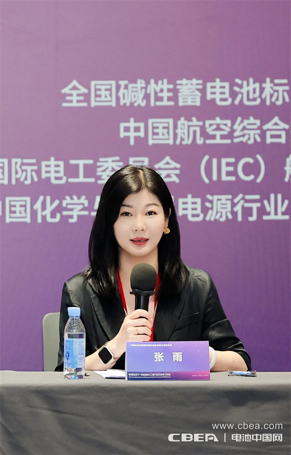 IEC飞行器电池国内技术对口工作组第一次全体大会在深圳召开