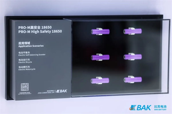 比克电池亮相CIBF 2025，全品类布局构建发展“芯”引擎