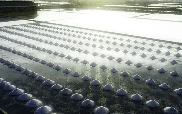 从暴涨14倍到降价90%!碳酸锂价格触底? 从暴涨14倍到降价90%!碳酸锂价格触底?