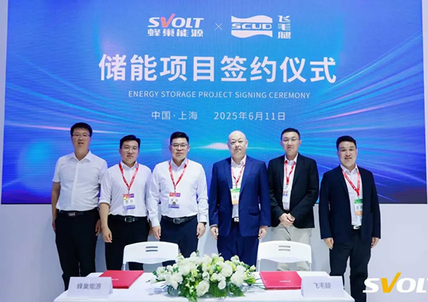 蜂巢能源签约2.1GWh储能订单 蜂巢能源签约2.1GWh储能订单