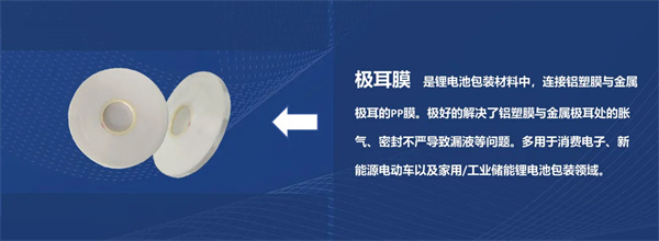 CBIS10周年特邀 | 至信搏远首席技术官高尾直树：破局固态电池封装瓶颈 高性能铝塑膜的创新与挑战