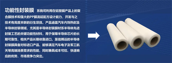 CBIS10周年特邀 | 至信搏远首席技术官高尾直树：破局固态电池封装瓶颈 高性能铝塑膜的创新与挑战