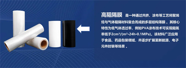 CBIS10周年特邀 | 至信搏远首席技术官高尾直树：破局固态电池封装瓶颈 高性能铝塑膜的创新与挑战