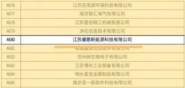 睿恩新能源成功通过2025年江苏省第二批高新技术企业认定