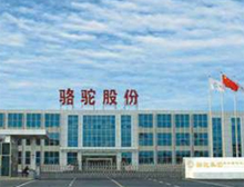 骆驼集团股份有限公司