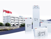 理士国际技术有限公司