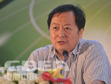 王仲颖：中国可再生能源发展展望与储能机遇